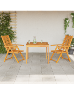 Set da Pranzo per Giardino 3 pz Marrone