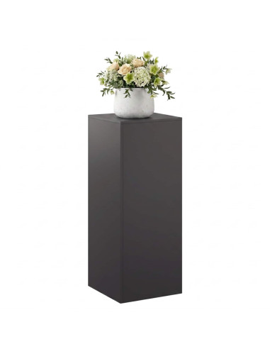 Supporto per piante Nero 40 x 40 x 100 cm Acciaio