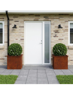 Fioriera da giardino con LED 2 pz Ruggine 50 x 60 x 48 cm