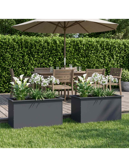 Fioriera da giardino con LED 2 pz Antracite 50 x 80 x 48 cm