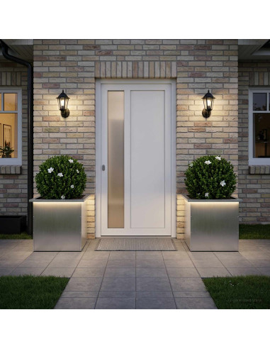 Fioriera da giardino con LED 2 pz Argento 50 x 50 x 48 cm