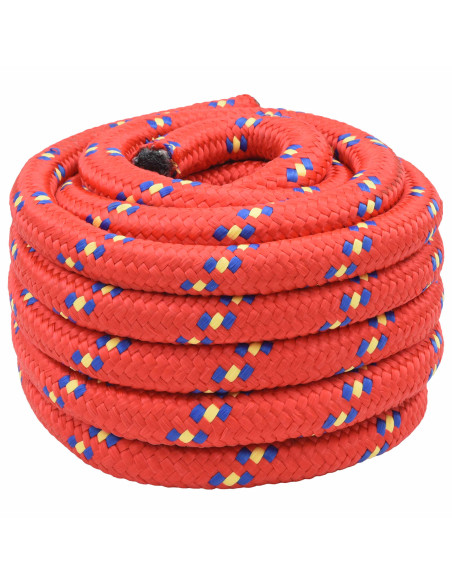 Corda multiuso 30 mm 10 m Rosso PP 5400 kg Carico massimo