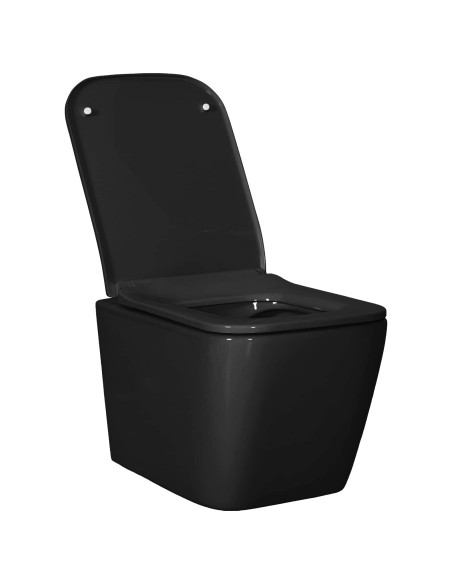 Vaso sospeso Ceramica Nero