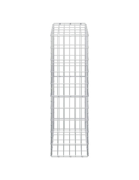 Gabione con Filo da 3,5 mm e Rete da 5x10 cm 50x30x100 cm