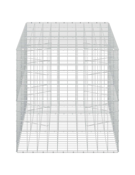 Gabione con Filo da 3,5 mm e Rete da 10x10 cm 250x100x100 cm