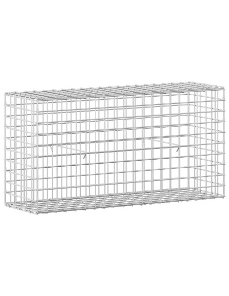 Gabion con Filo da 3,5 mm e Maglia da 5x5 cm 100x30x50 cm