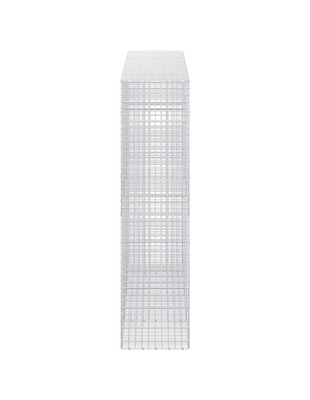 Gabion con Filo da 3,5 mm e Maglia da 5x5 cm 350x50x200 cm