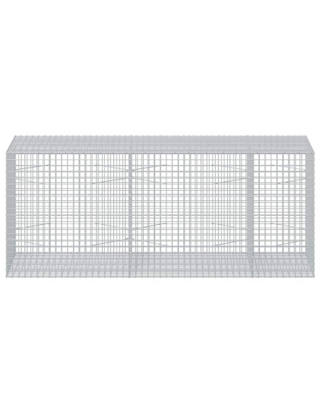 Gabion con Filo da 3,5 mm e Maglia da 5x5 cm 250x100x100 cm