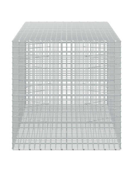 Gabion con Filo da 3,5 mm e Maglia da 5x5 cm 250x100x100 cm
