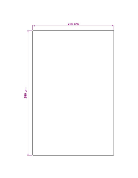 Tappeto da Area Naturale e Nero 200 x 290 cm PET
