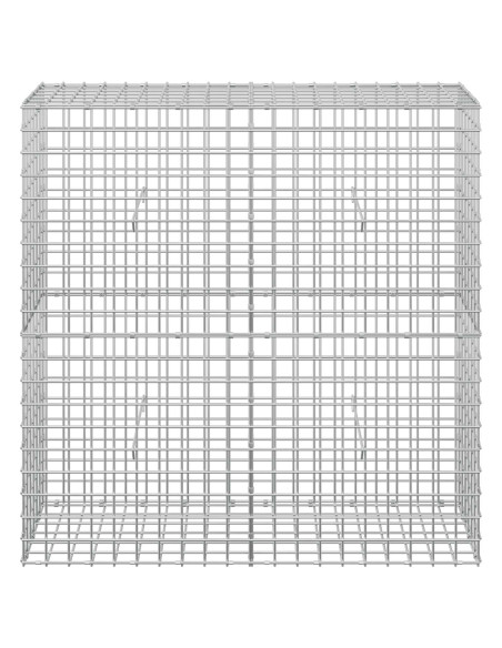 Gabion con Filo da 3,5 mm e Maglia da 5x5 cm 100x30x100 cm