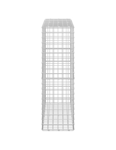 Gabion con Filo da 3,5 mm e Maglia da 5x5 cm 100x30x100 cm
