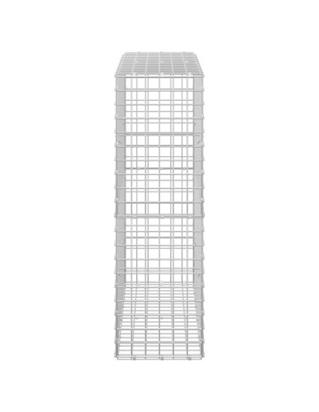 Gabion con Filo da 3,5 mm e Maglia da 5x5 cm 100x30x100 cm
