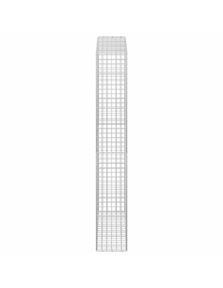 Gabion con Filo da 3,5 mm e Maglia da 5x5 cm 100x30x200 cm