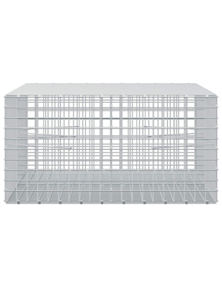 Gabion con Filo da 3,5 mm e Maglia da 5x5 cm 200x100x50 cm