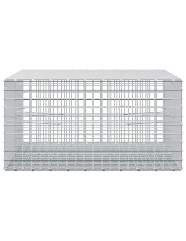 Gabion con Filo da 3,5 mm e Maglia da 5x5 cm 200x100x50 cm