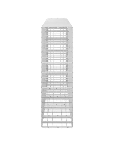 Gabion con Filo da 3,5 mm e Maglia da 5x5 cm 250x30x100 cm