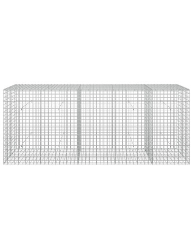 Gabion con Filo da 3,5 mm e Maglia da 5x5 cm 250x50x100 cm