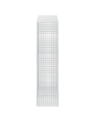 Gabion con Filo da 3,5 mm e Maglia da 5x5 cm 250x50x200 cm