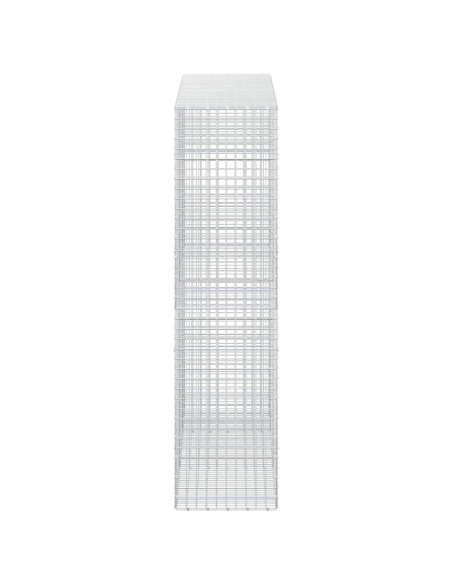 Gabion con Filo da 3,5 mm e Maglia da 5x5 cm 250x50x200 cm