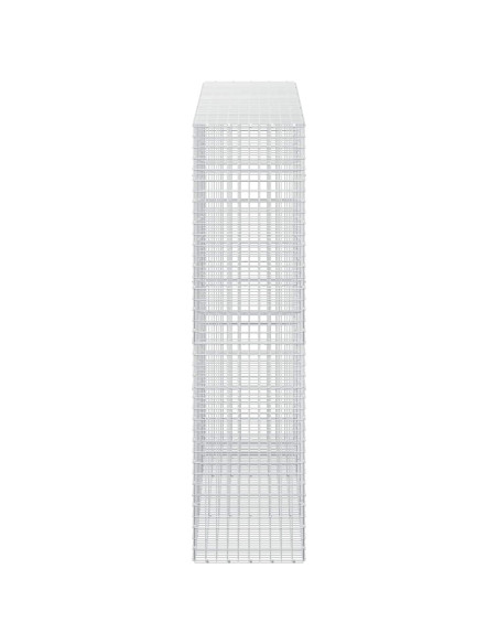 Gabion con Filo da 3,5 mm e Maglia da 5x5 cm 300x50x200 cm