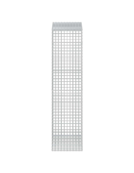 Gabion con Filo da 3,5 mm e Maglia da 5x5 cm 50x100x200 cm