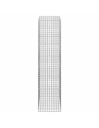 Gabion con Filo da 3,5 mm e Maglia da 5x5 cm 50x30x200 cm
