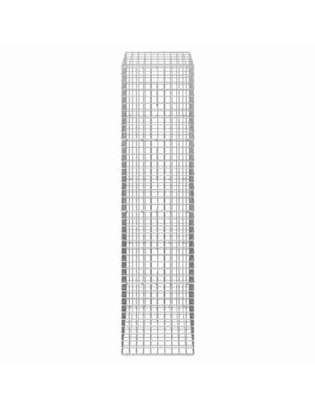 Gabion con Filo da 3,5 mm e Maglia da 5x5 cm 50x30x200 cm
