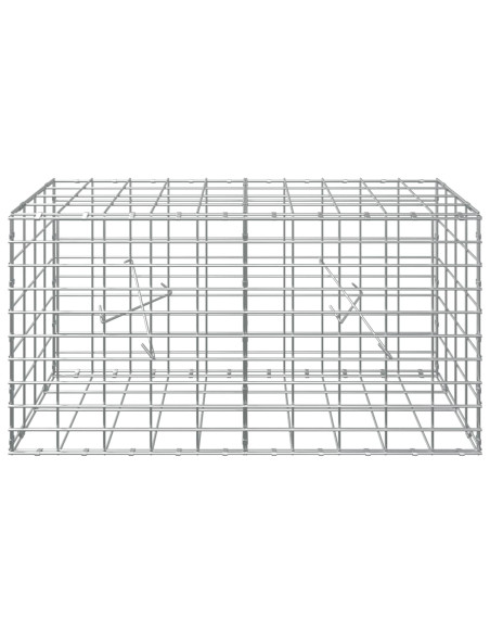 Gabione con Filo da 3,5 mm e Rete da 5x10 cm 100x20x50 cm