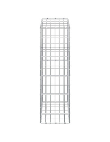 Gabione con Filo da 5 mm e Rete da 5x10 cm 50x30x100 cm