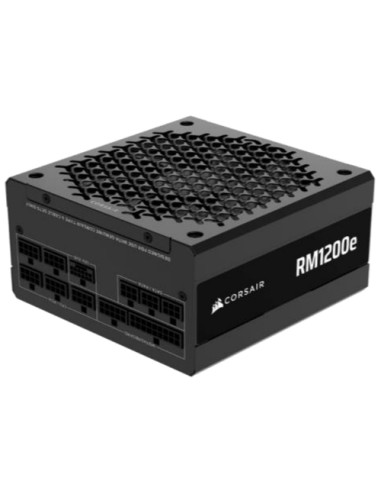 RM1200E CYBENETICS PLATINUM MODULAR
