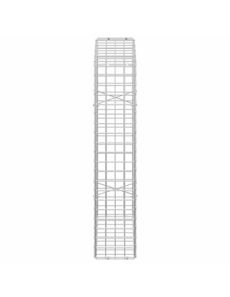 Gabion con Filo da 3,5 mm e Maglia da 5x5 cm 50x20x100 cm