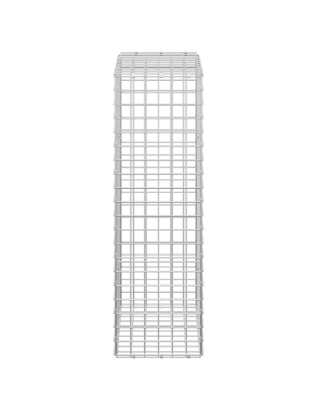 Gabion con Filo da 3,5 mm e Maglia da 5x5 cm 50x30x100 cm