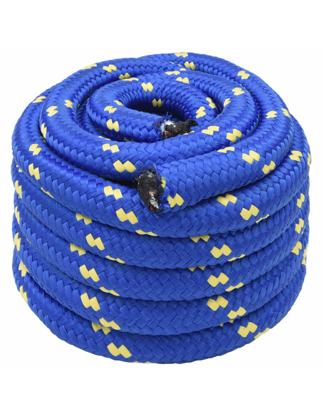 Corda multiuso 30 mm 25 m Blu PP 5400 kg Carico massimo