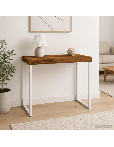 Piano del Tavolo Rettangolare 50 x 20 x 3,2 cm Rettangolare