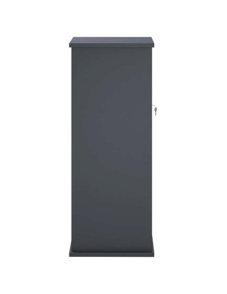 cassetta postalepastkastei Antracite 40 x 40 x 100 cm Acciaio