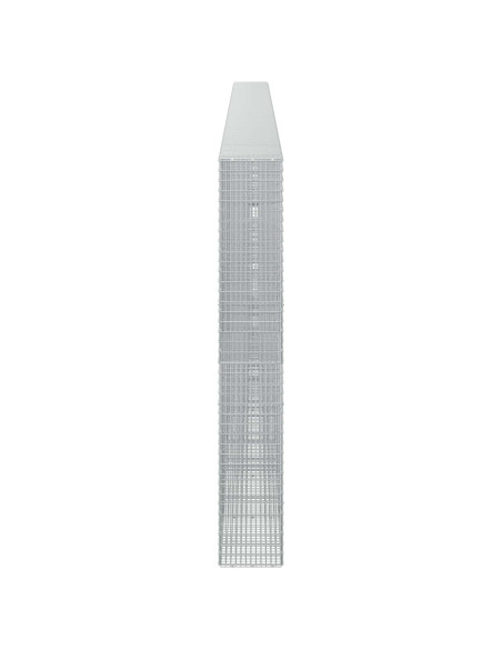 Gabione con Filo da 5 mm e Rete da 5x2,5 cm 950x30x200 cm