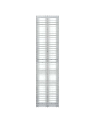 Gabione con Filo da 5 mm e Rete da 5x2,5 cm 50x30x200 cm