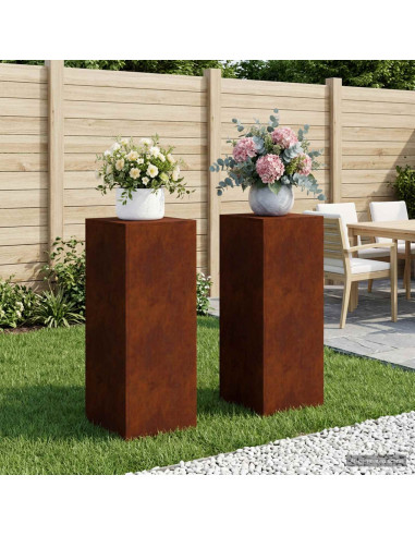 Supporto per piante 2 pz Ruggine 40 x 40 x 100 cm