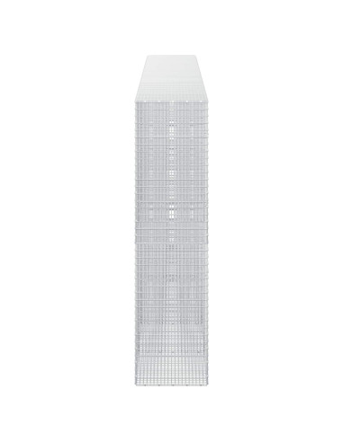 Gabione con Filo da 5 mm e Rete da 5x2,5 cm 600x50x200 cm