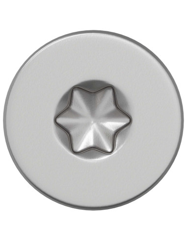 Viti 100 pcs Argento Ø 2,88 x 45 mm Acciaio inox A2