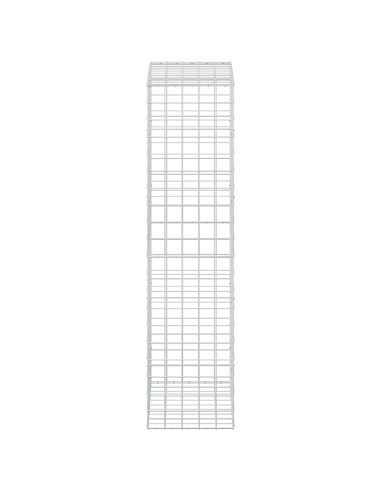 Gabione con Filo da 3,5 mm e Rete da 10x10 cm 50x100x200 cm