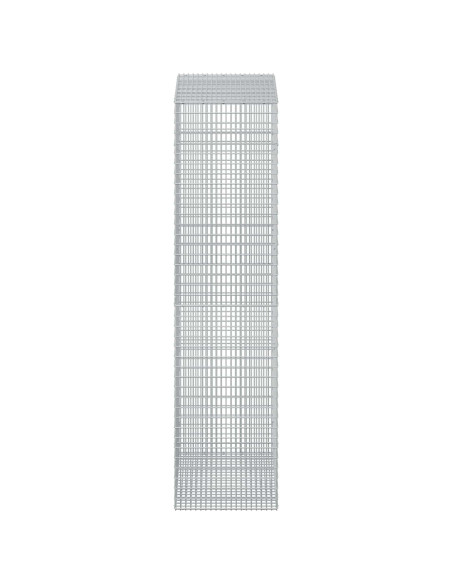 Gabione con Filo da 5 mm e Rete da 5x2,5 cm 50x100x200 cm