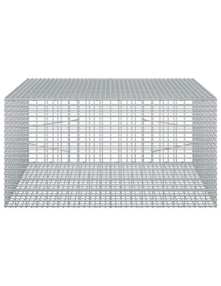 Gabione con Filo da 5 mm e Rete da 5x2,5 cm 100x100x50 cm