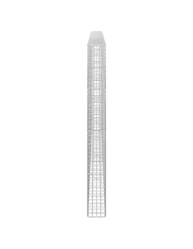 Gabion con Filo da 3,5 mm e Maglia da 5x5 cm 200x20x200 cm