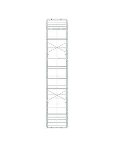 Gabione con Filo da 3,5 mm e Rete da 10x10 cm 50x20x100 cm