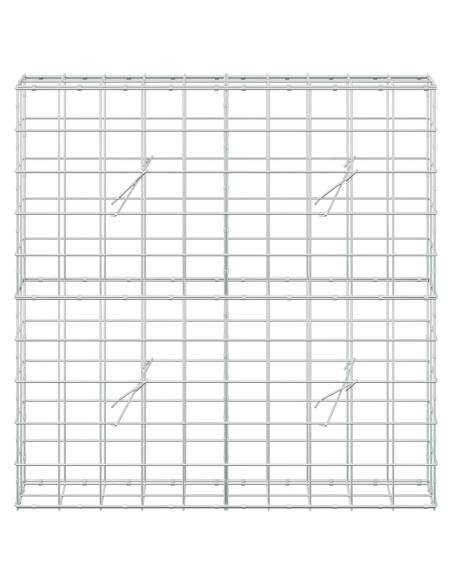 Gabione con Filo da 3,5 mm e Rete da 10x10 cm 100x20x100 cm