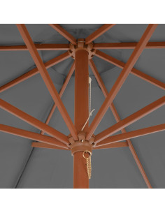 Ombrellone da Esterni con Palo in Legno 300 cm Antracite