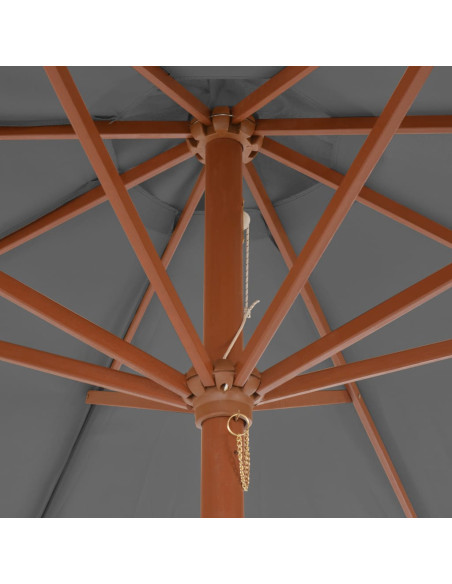 Ombrellone da Esterni con Palo in Legno 300 cm Antracite