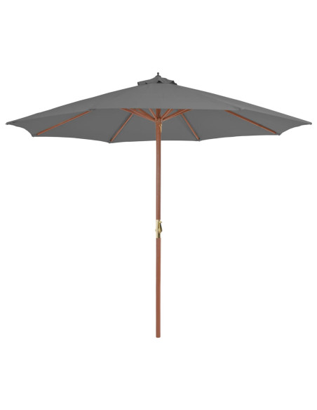 Ombrellone da Esterni con Palo in Legno 300 cm Antracite